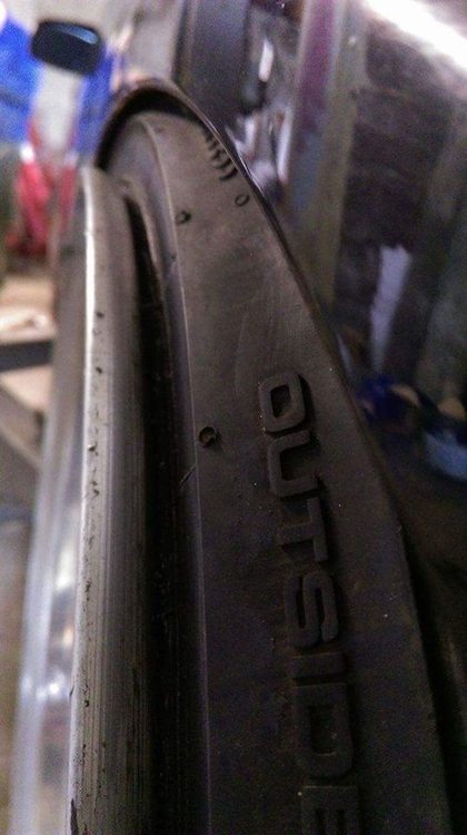 17160538_1083518741791529_2132594875_n (1).jpg