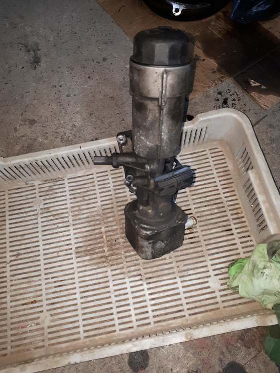 received_1329790597126264.jpeg